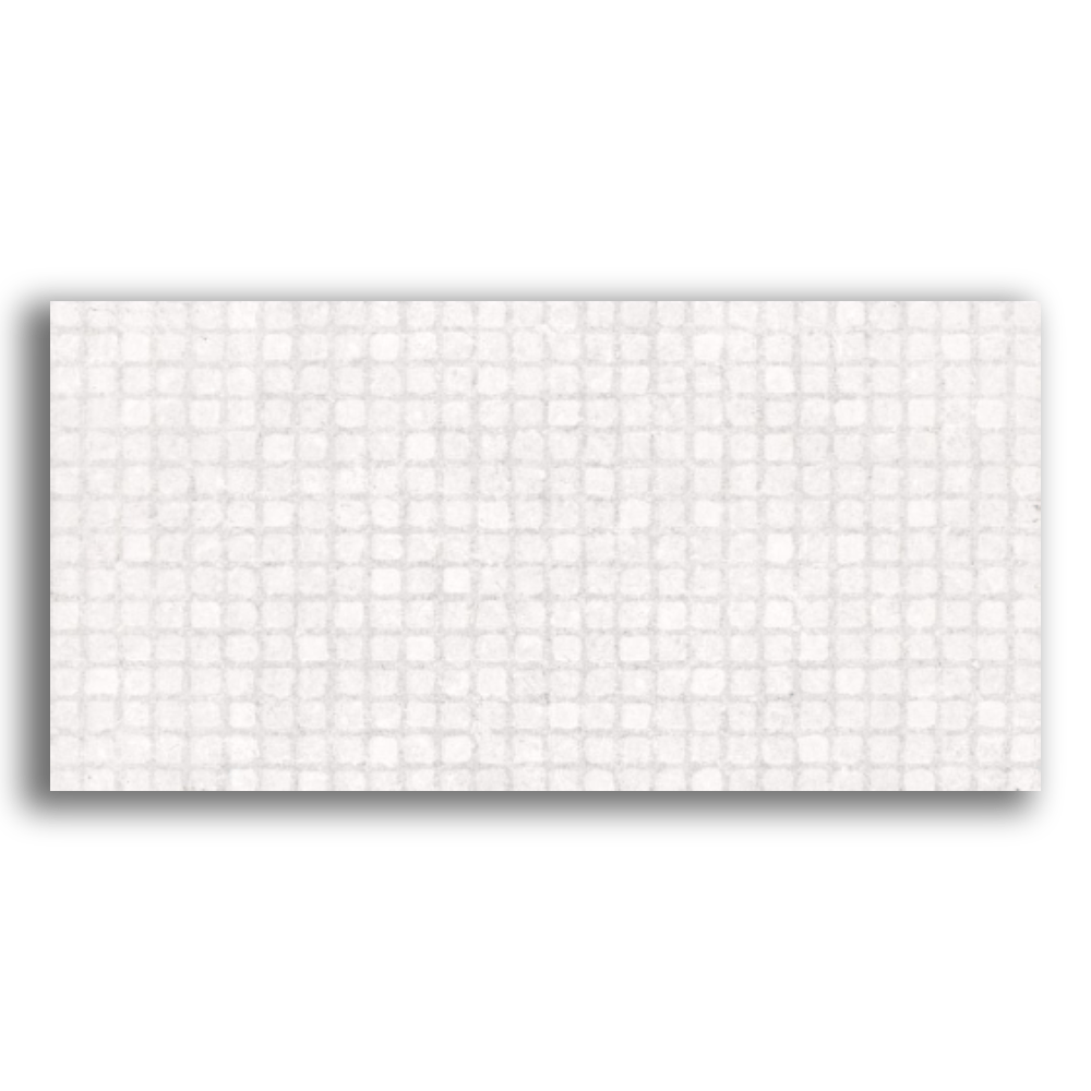 Revestimento 30x60cm Retificado Orto Matte Tipo A Pointer.png